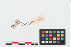 Foto von Kalksteinringperle (NHMW-PRAE-024929)